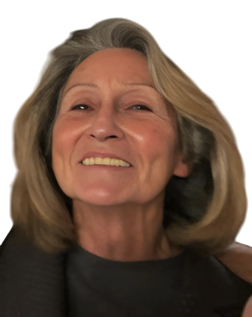 Pr. Dominique Mazier